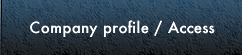 Company / Access