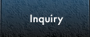 Inquiry